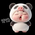 หมูแพนด้าน่ารักจังเลย