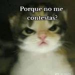 BAÑO! BAÑO! BAÑO! BAÑO!