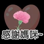 ♡ 貓咪愛你 ♡ 實用日常(含母親節祝福)