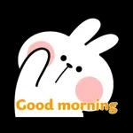 萌宠sticker 01291🥰