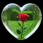 Mein Herz gehört dir