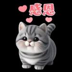 灰色虎斑小奶貓大字大貼圖