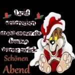 Gute Nacht und schlaf schön😻