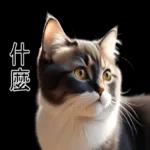 超可愛的黑白貓