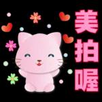 可愛粉粉貓- 常用語