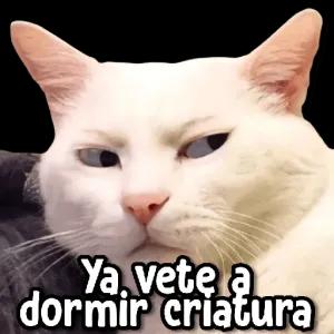 Ya vete a dormir criatura - getsticker.com