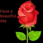 love you baby