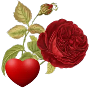 getsticker.com