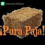 Que voy hacer contigo