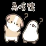 天竺鼠布丁～～超可愛鴨