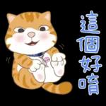 懶貓家族12 小太陽和家人-甜蜜草莓篇