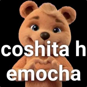 sf8us5h