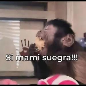 FxjEEA