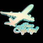 flight