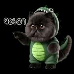 เหมียวดำ ไดโนเขียว