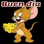 ¿Qué borraste? 