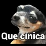 se nao gosta respeita