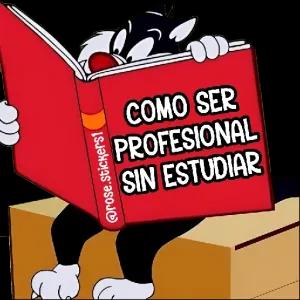c0r9h0l