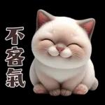 可愛暹羅貓的日常