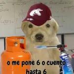 TEAMO