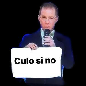 vo9gjan