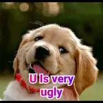 U Is very ugly