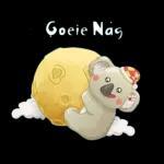 GOOD
NIGHT