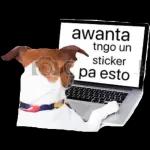 paty5