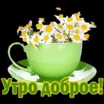 утречко доброе