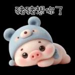 穿小熊裝的可愛寶貝