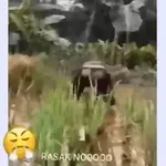 Seré breve: Te Quiero