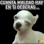CUANTA MALDAD HAY EN TI DEBERAS...