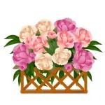 life is a beautiful ride