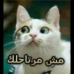 جيري
