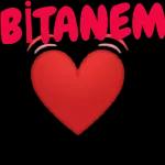 BİTANEM