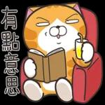 白爛貓53☆超靠北☆