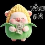 หมูน้อยข้าวโพดน่ารัก <3