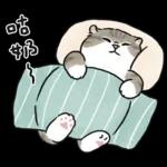 愛撒嬌的奶油小生 (虎斑貓)