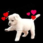 Ya voy bb
@ballolet88