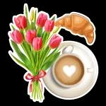 Moin Moin!🌹