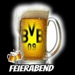 NUR DER BVB 