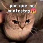 BAÑO! BAÑO! BAÑO! BAÑO!