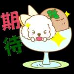 白貴賓犬表情包