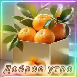 блин блинский
