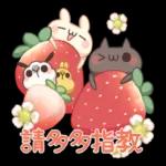 兔子小白與貓咪小黑 2