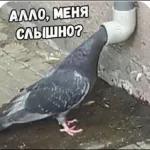 кккк