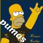 PUMAS