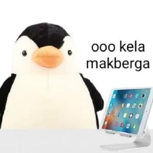 XRK02D
