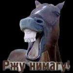 Новые 25