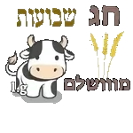 יותר טוב מהמם 